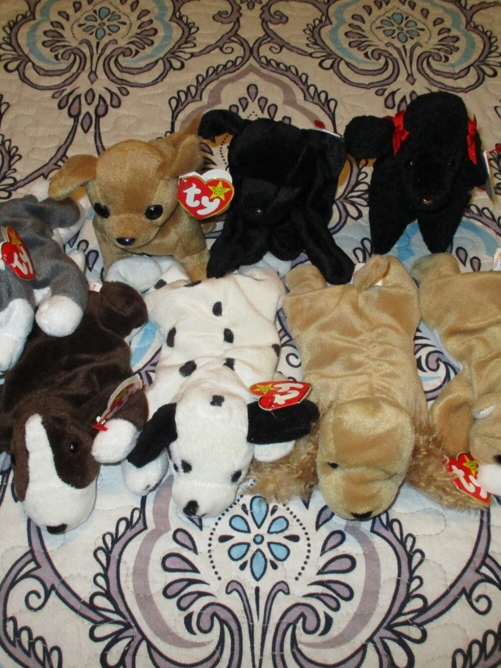 TY Beanie baby dog bundle